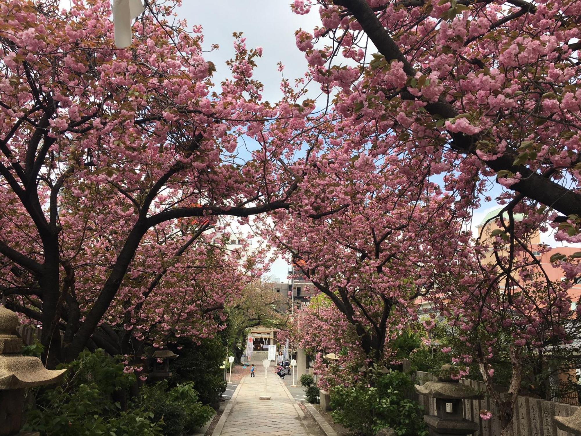 Noah Grande (Adults Only) Hotel Osaka Exterior foto