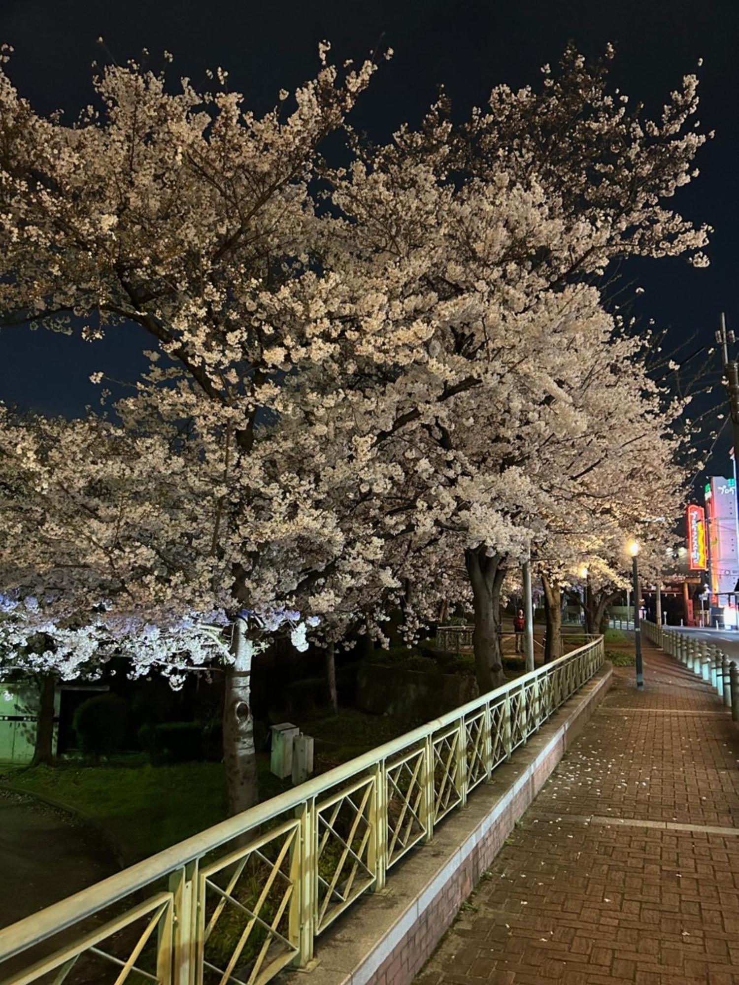 Noah Grande (Adults Only) Hotel Osaka Exterior foto